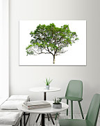 Obraz Strom šťastia 1448